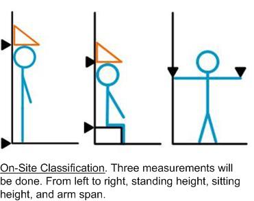 Classification